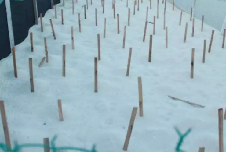 Ante la cercanía de Ian, resguardan nidos de tortuga en Cancún