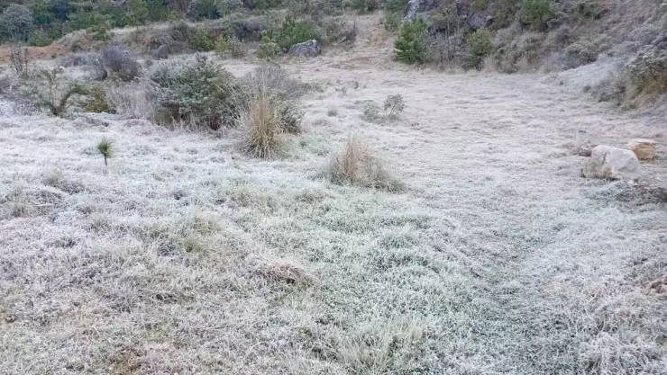 Prevén heladas en zonas altas de Veracruz