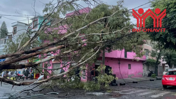 Trámite del seguro de daños de Infonavit