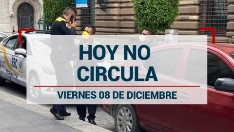 ¡Cierra la semana! Autos que descansan este 8 de diciembre en CDMX y Edomex por el Hoy No Circula