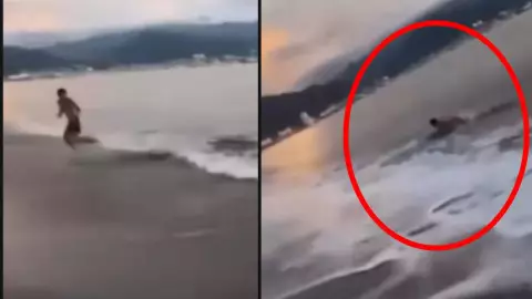 Ataque de cocodrilo en Puerto Vallarta