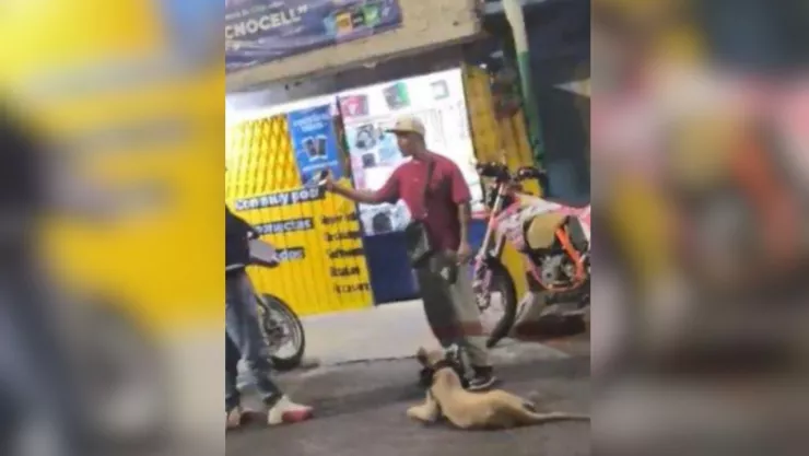 Sujeto pasea a león en calles de Iztapalapa CDMX; la Profepa ya lo investiga