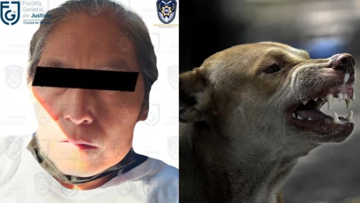 Niño muere atado por perros