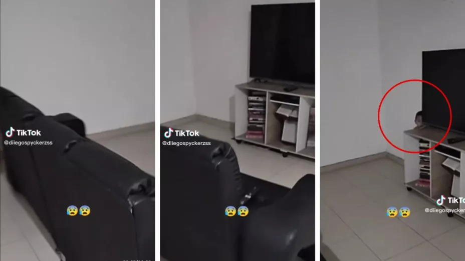 Niño fantasma se aparece detrás del mueble de la tele