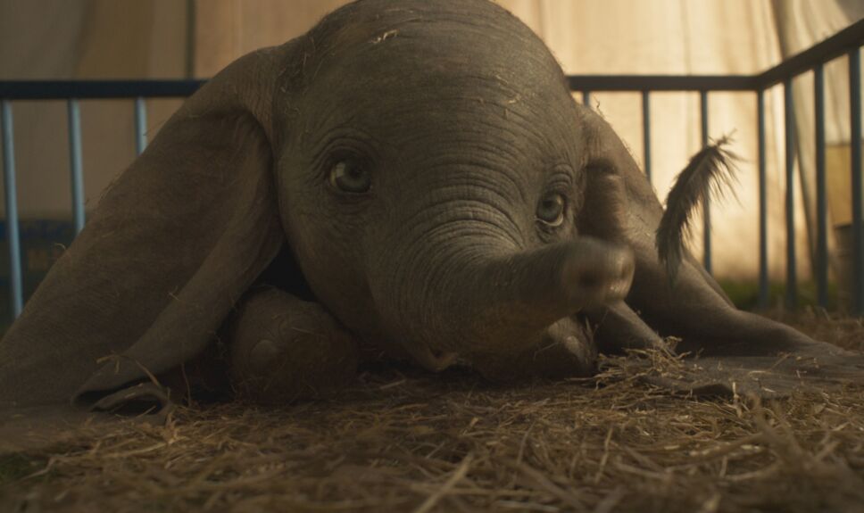 trailer oficial dumbo kidsiete