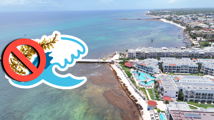 Playas libres de sargazo en Quintana Roo HOY 8 de agosto de 2025_ Lista desde Holbox, Cancún y hasta Tulum.jpg