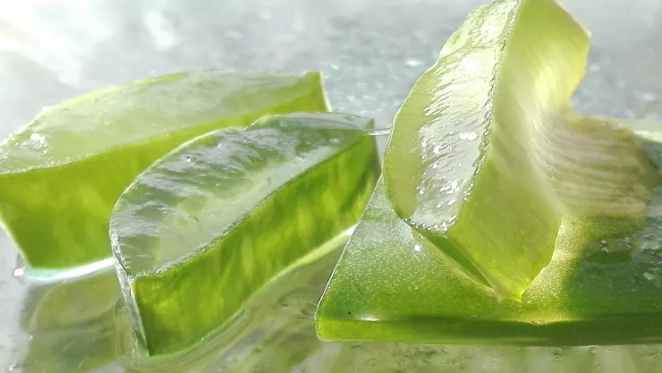 Jugo de aloe vera: conoce los beneficios y cómo prepararlo