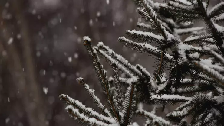 Clima hoy en Yucatán_ ¿Cuáles son los 5 municipios que tendrán heladez por el frente frío 36_ Esto sabemos