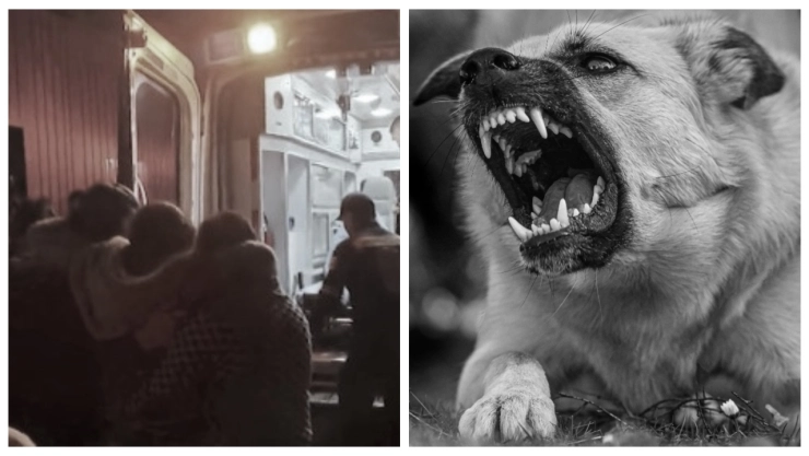 Mujer sufre destrozo de pantorrilla al ser atacada ferozmente por un perro en Puebla | VIDEO