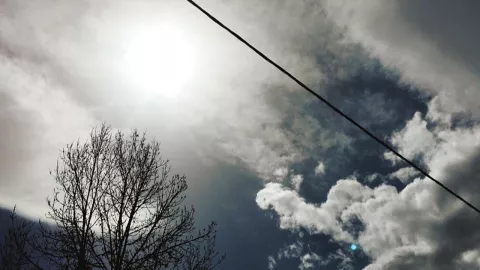 Clima Tijuana hoy viernes 1 de noviembre de 2024