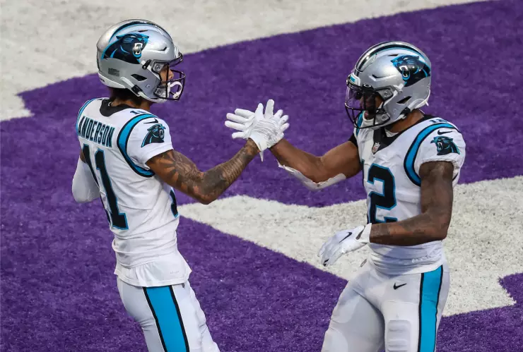 Panteras de Carolina