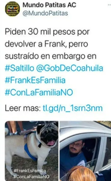 perro-embargo-coahuila.jpg