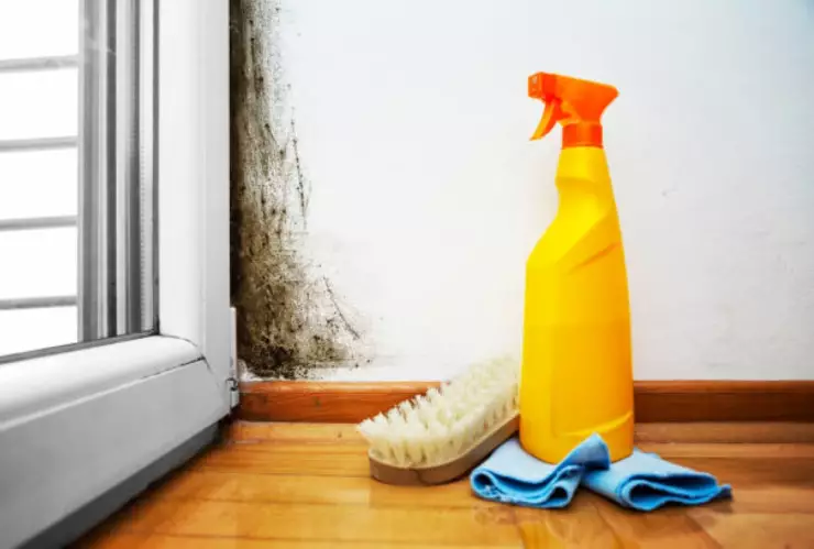 Humedad en la pared.jpg