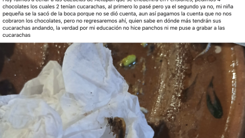 Restaurante con cucarachas Mérida.png