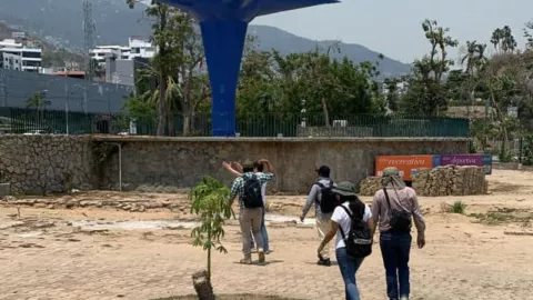 reforestación acapulco