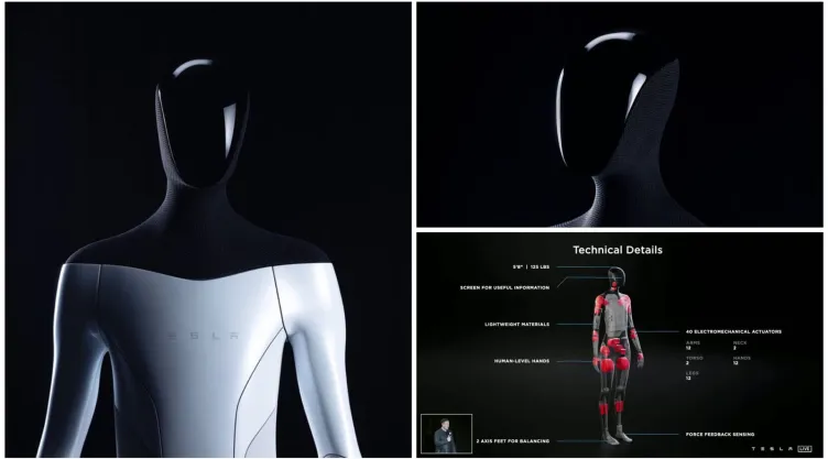 Tesla Bot, el robot humanoide