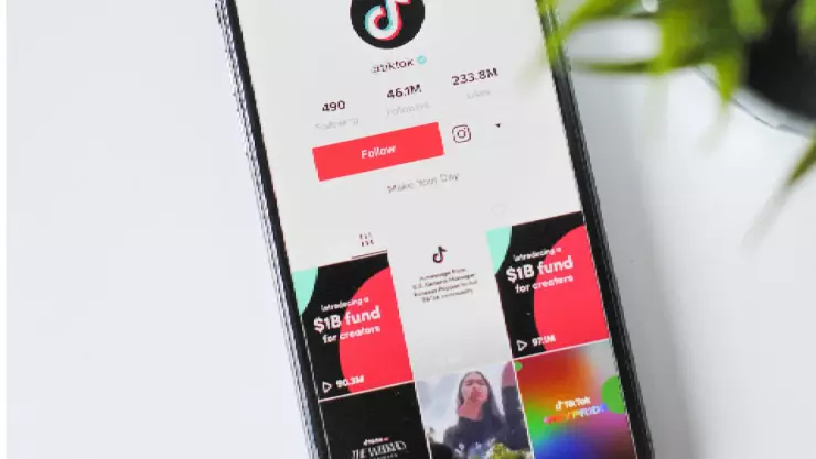 Por grabar un video para sus redes sociales, FAMOSO TIKTOKER muere al caer de un puente