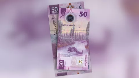 Pagan 2.2 MDP por colección de billetes del ajolote con número de serie en concreto.jpg