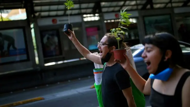 marihuana marcha.jpg