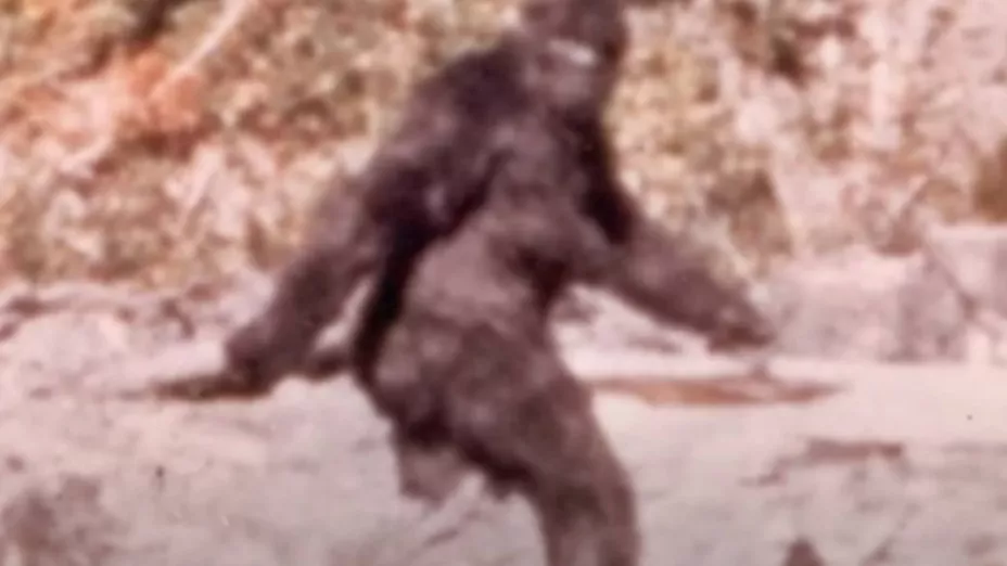 Estudiantes aseguran haberse encontrado con Pie Grande en un bosque de Louisiana