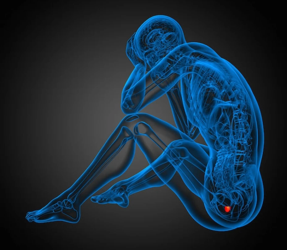 Cáncer de próstata