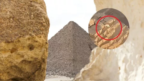 piramide-guiza-perro-video