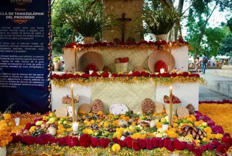 oaxaca altar muestra altares