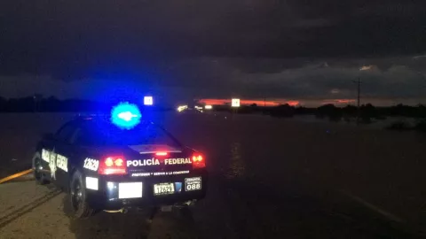 Decomisan arsenal a menores de edad en Nuevo León