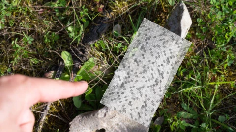 _Encuentran restos humanos en la colonia Loma Dorada, León Gto.png