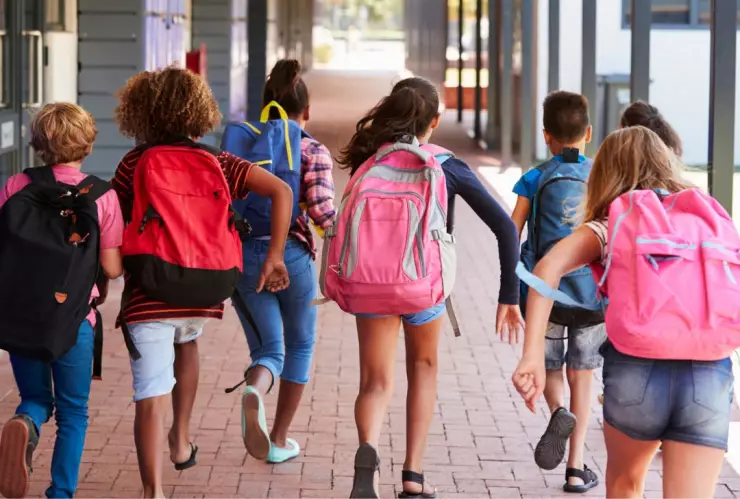 Por esta razón no habrá clases de nivel básico el viernes 22 de noviembre