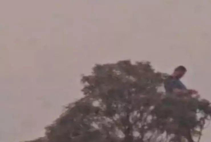 Captan a supuesto gigante caminando por montaña de Brasil