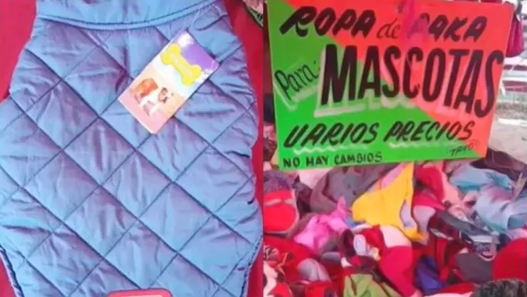 Ropa para mascotas