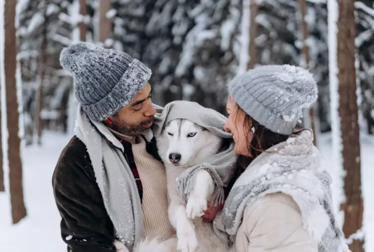Así proteges a tus mascotas del frío este invierno 2024
