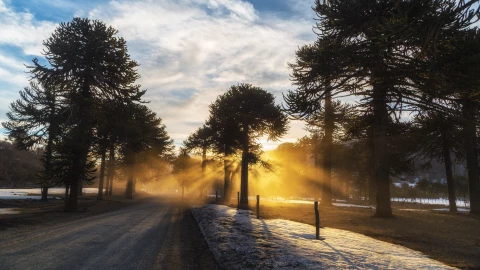 Solsticio invierno hoy