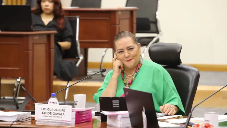 Taddei descarta conflicto al interior del Consejo General del INE