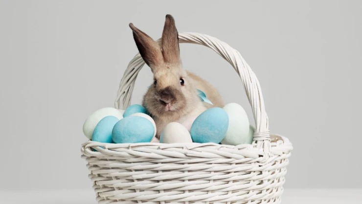 Historia del conejo de Pascua
