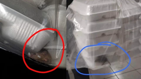 Encuentran ratón en bolsa de comida.