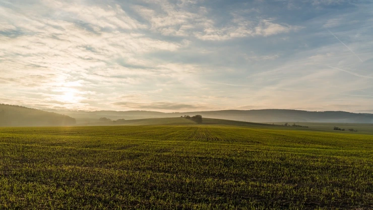 Estudio analiza impacto ambiental de agricultura de alto rendimiento