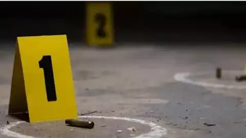 Roberto Toledo colaborador Michoacán