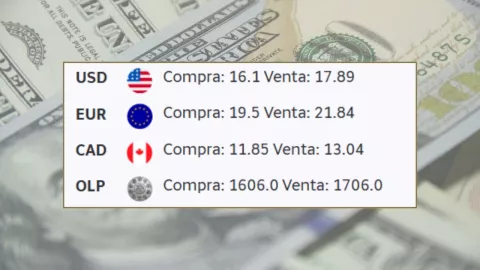 ¿En cuánto está el dólar hoy? Precio y tipo de cambio este viernes 16 de enero