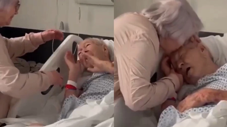 Benedicto esposa Brasil