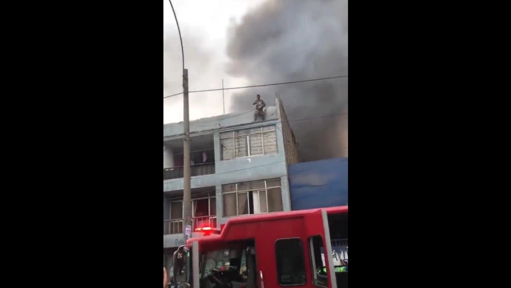 Hombre rescata a 25 perritos del incendio en una casa