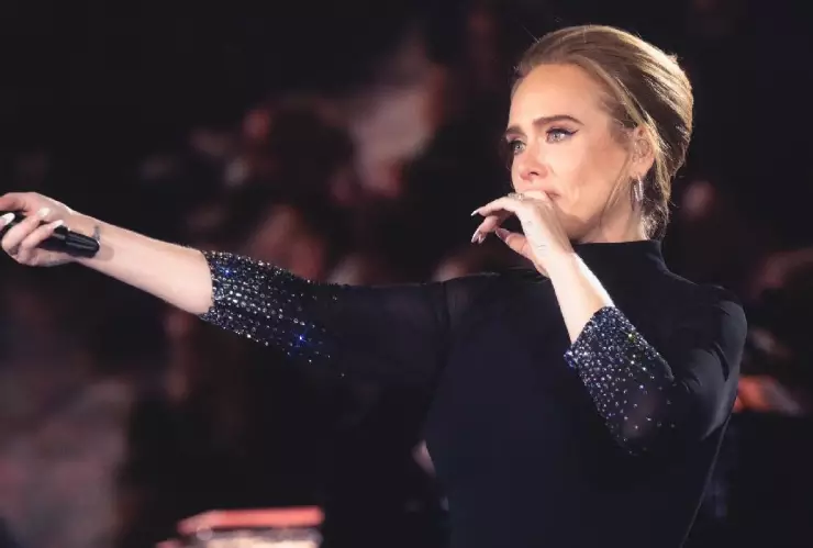 Adele se retira