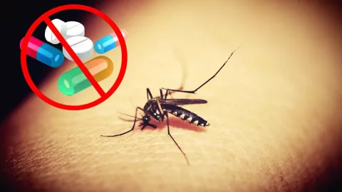 Estos son los medicamentos que NO debes tomar si tienes Dengue