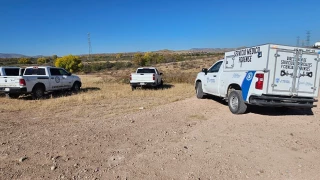 Osamenta Chihuahua.jpg