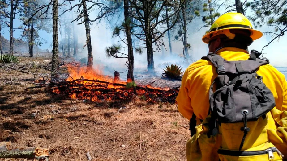 Incendio forestal_UNAM-DGCS.jpg