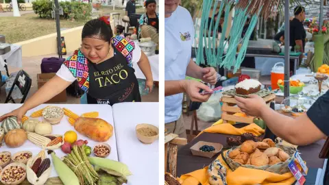 la 5ª Edición del Festival Gastronómico del Caribe Mexicano