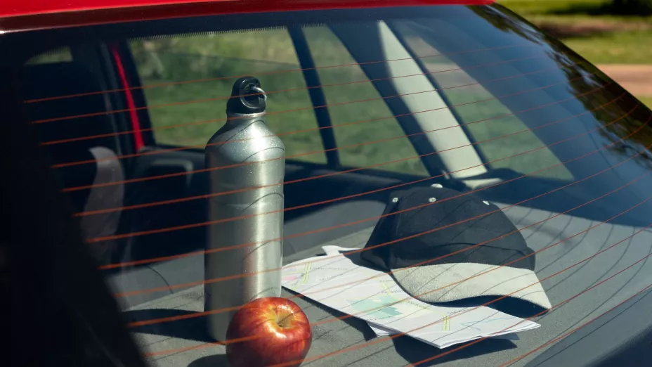 ¡Por operarse los labios!, madre pierde a un niño en auto caliente de California.jpg