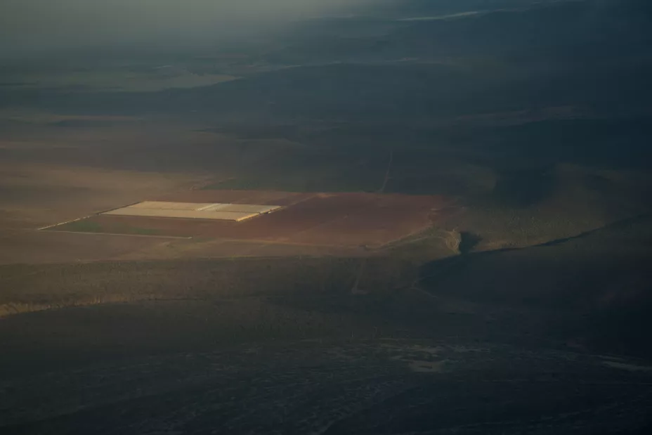 Sader 26 de diciembre.jpeg