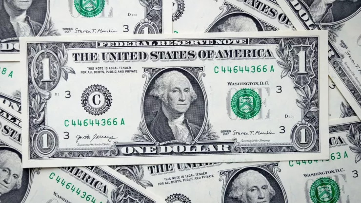 Precio del dólar en Torreón viernes 31 de enero 2025